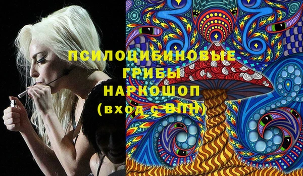 метадон Лагань