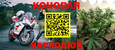 кокс Шали